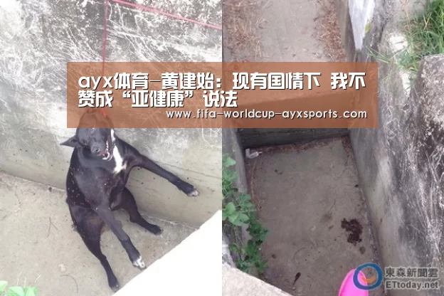 爱游戏体育官网