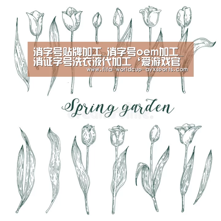 消字号贴牌加工_消字号oem加工_消证字号洗衣液代加工‘爱游戏官网’(图1) ayx体育