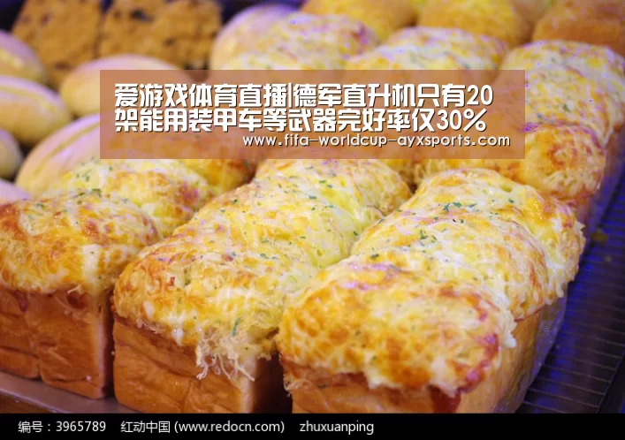 爱游戏体育直播|德军直升机只有20架能用装甲车等武器完好率仅30%(图1) 爱游戏体育官网
