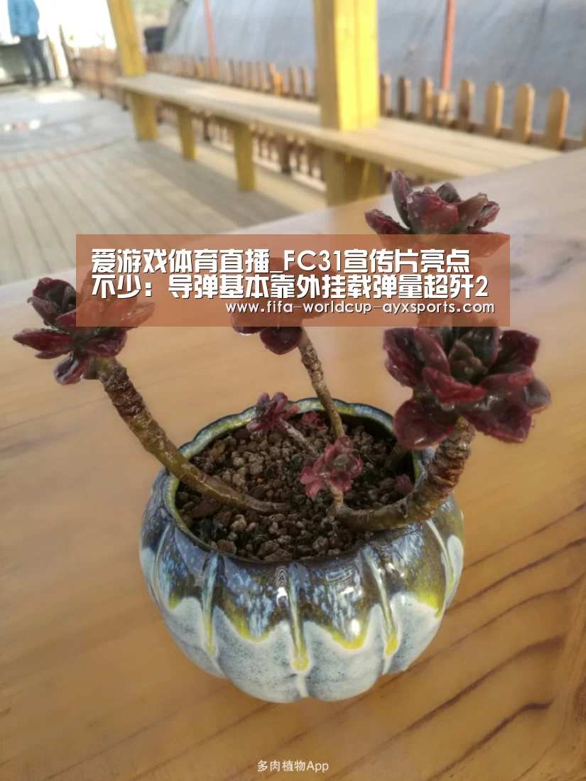 爱游戏体育直播_FC31宣传片亮点不少:导弹基本靠外挂载弹量超歼20(图1) 爱游戏体育直播