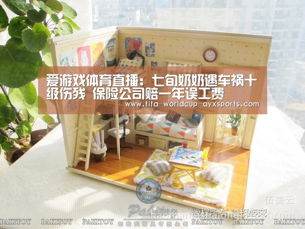爱游戏体育直播:七旬奶奶遇车祸十级伤残 保险公司赔一年误工费(图2) 爱游戏体育官网