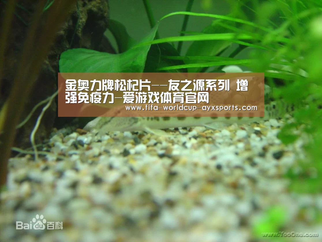 爱游戏体育直播